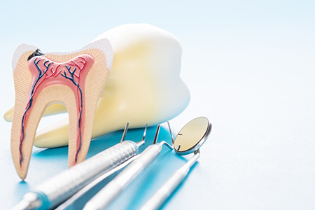 Alpine Dentistry